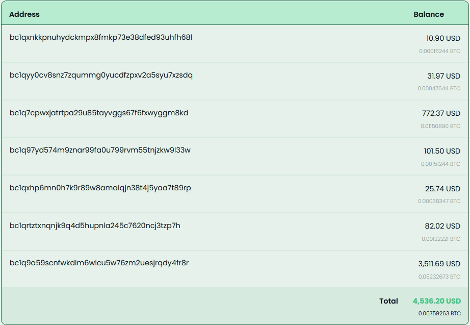 Figure 15: Wallet Snapshot displaying the total value  