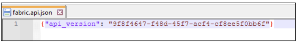 Figure 23: fabric.api.json file 